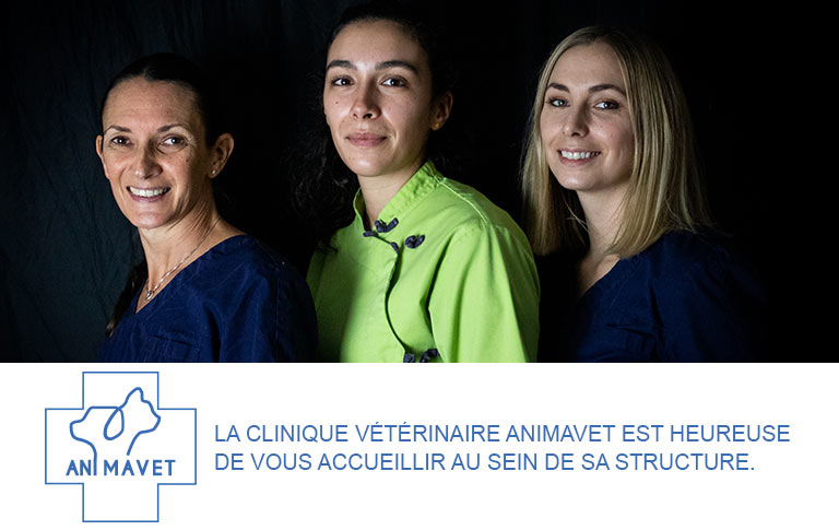 Clinique vétérinaire Animavet